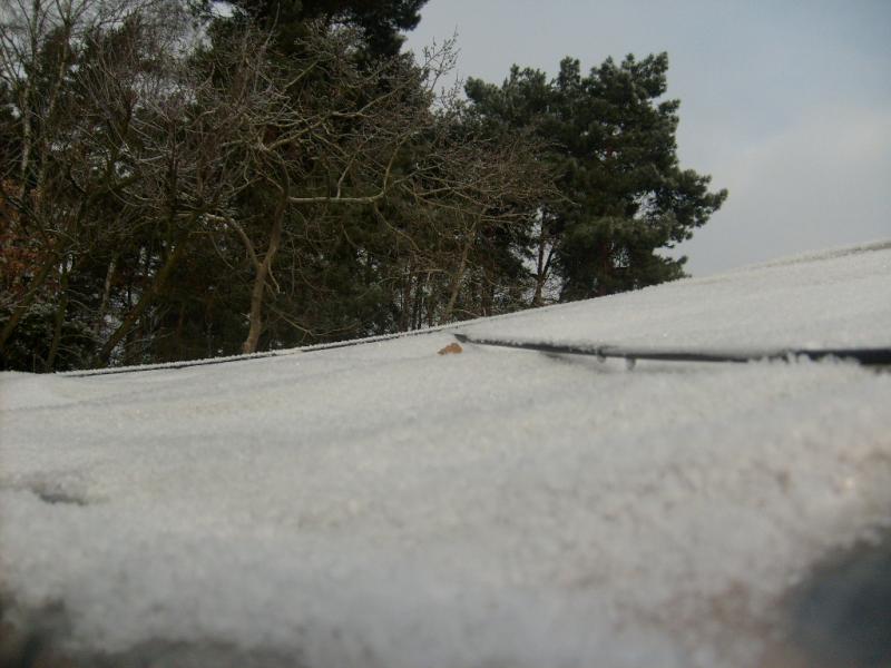 12_1231269338.jpg